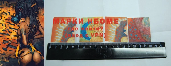 дурь Инта