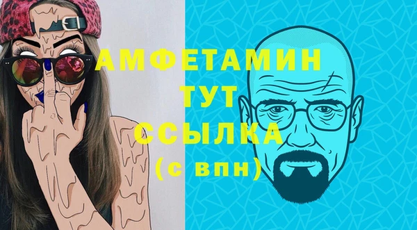 дурь Инта
