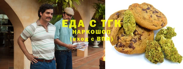 дурь Инта