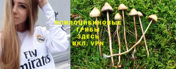 хмурый Иннополис