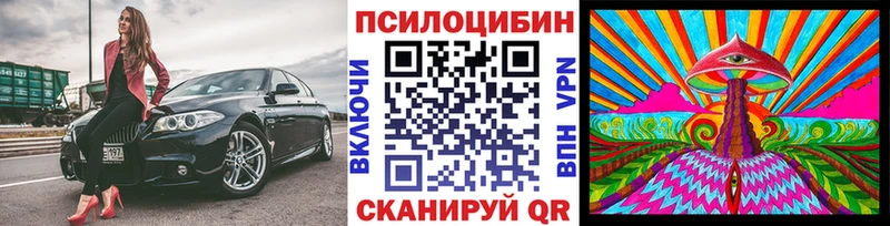 MEGA   продажа наркотиков  Кологрив  Псилоцибиновые грибы Magic Shrooms 